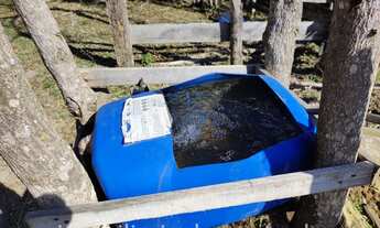 Imagem 5: Terreno contendo aproximadamente 24.200 m² na região de Delfim Moreira- Sul de Minas Gerai