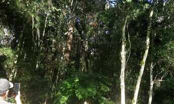 Imagem 5: Chácara ótima oportunidade