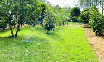 Imagem 5: Linda chacara lazer e produção