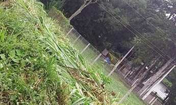 Imagem 4: Lote Gramado/ Carazal