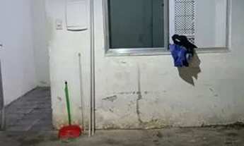 Imagem 6: Alugo casa no Chapadão independente