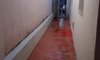 Imagem 7: Casa padrão em Vila Virginia - Ribeirão Preto