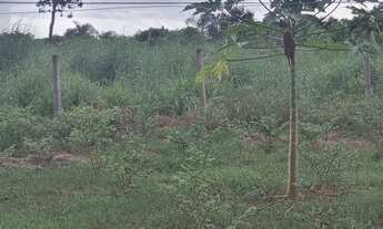 Imagem 4: Venda de chácara