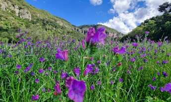 Imagem 5: TERRENO COM VISTA PARA UM PAREDÃO DE PEDRAS HISTÓRICAS!!!
