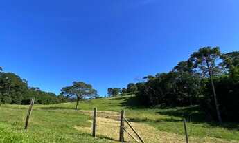 Imagem 5: LP- Terrenos demarcados e planos