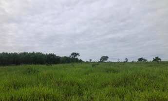 Imagem 3: Fazenda 61 alqueires otima Logistica