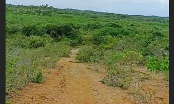 Imagem 7: Fazenda em Jandaíra, Litoral Norte da Bahia
