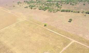 Imagem 3: Fazenda em Silvanopolis. Dupla aptidão