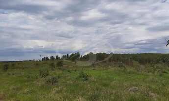Imagem 4: TERRENO RURAL DE 221,60 HA EM ANGATUBA/SP