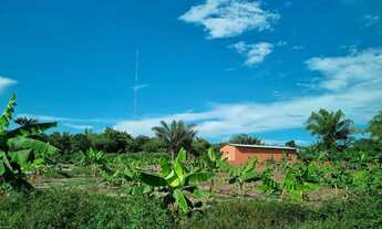 Imagem 3: Vendo um sítio no km 02 de Novo Airao-Am