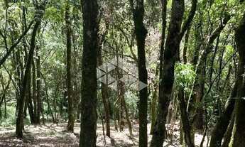 Imagem 3: Terreno com 2556m² Linha 40 no Bairro Nossa Senhora da Saúde em Caxias do Sul