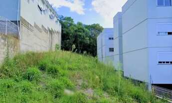 Imagem: CAXIAS DO SUL - Terreno Padrão - SÃO LUIZ