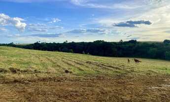 Imagem 2: Chácaras 10.000m2 em Itaberaí com Rio Urú ao fundo - Oportunidade Única!