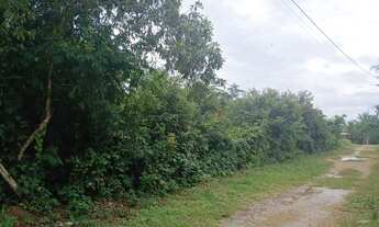 Imagem 2: Vendo Terreno de Esquina