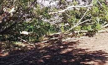 Imagem 2: Vendo pesqueiro lote no pantanal MT