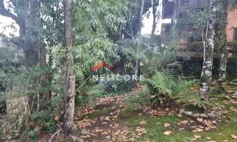 Imagem 14: Casa em Rua Rui Barbosa - vila maggi - Canela/RS