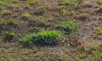 Imagem 4: Terreno 324 m² -Bem Localizado - Condominio - Ruda