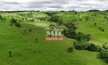 Imagem 6: Fazenda 191 alqueires ( 924 hectares) ipameri -GO