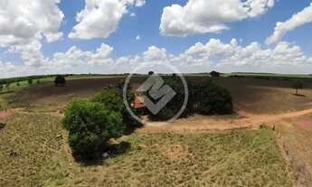 Imagem 3: Fazenda 3 Rosas codigo: 162076