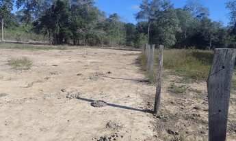 Imagem 2: Vendo lote em Barão de melgaço, comunidade Piuva 35.000R