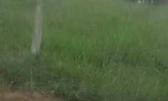 Imagem 3: Terreno rural em itaguara