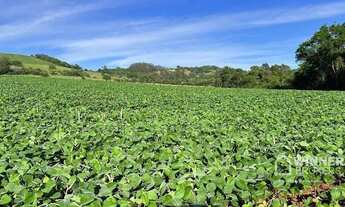 Imagem: Área à venda, 580800 m² por R$ 3.500