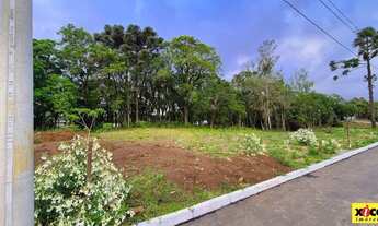 Imagem 3: Terreno para Venda em Nova Petrópolis, Logradouro