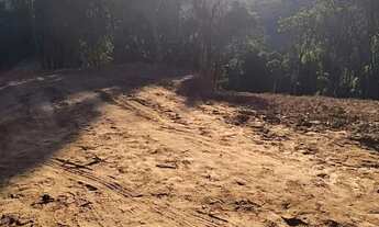 Imagem 7: Oportunidade Única: Terrenos de 1.000m²