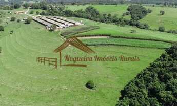 Imagem 3: Sítio com galpões de granja, 85 mil aves, área com 20,8 alqueires