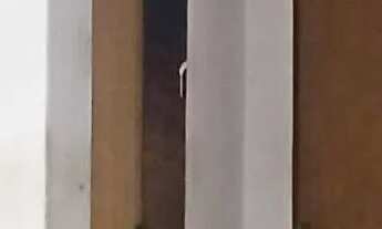 Imagem 7: Apartamento à venda em Cândida Câmara com 3 Quarto(s), 1 Suíte(s)