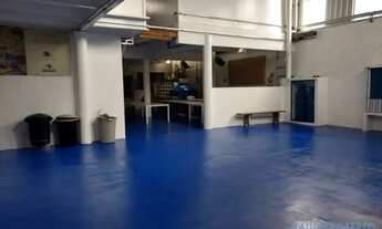 Imagem 7: GALPÃO - BUTANTÃ - SP