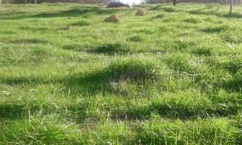 Imagem 2: Vende se ágio terreno 520m2 Residencial aurora das mansões