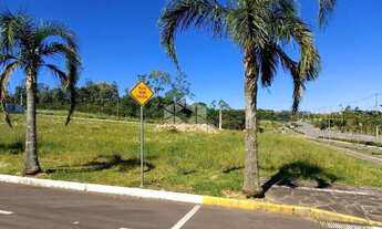 Imagem 6: Terreno localizado em loteamento com infraestrutura completa