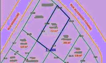 Imagem 3: Terreno null quartos à venda no(a) Vila Floresta
