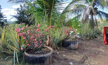 Imagem 7: Chácara próximo a palmas. Oportunidade de negócio!