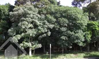 Imagem: Terreno no bairro Cruzeiro