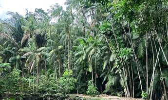 Imagem 4: Sítio ideal para momentos inesquecíveis