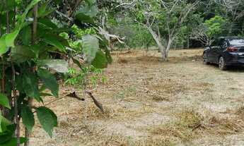 Imagem 5: VENDO TERRENO NA AM 070