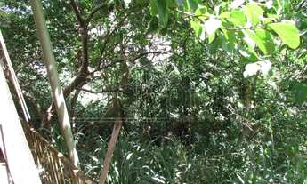 Imagem 2: Casa em terreno de 16 metros de frente