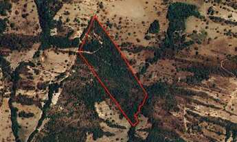 Imagem: 12,6Ha - Chácara - Jaraguá - GO - BR153