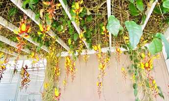 Imagem 2: Casa deliciosa em Condomínio, próxima ao Centro de Atibaia!