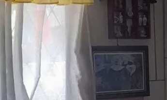 Imagem 7: Viamópolis vendo linda casa escriturada podendo parcelar 50% direto