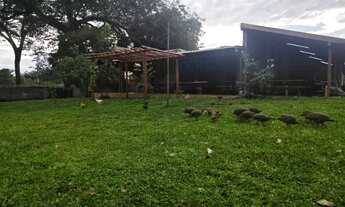 Imagem 6: Chacara completa no parque maracanã dentro de goiania