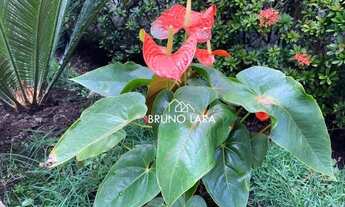 Imagem 5: Casa à venda em Sarzedo, Bairro Cachoeira