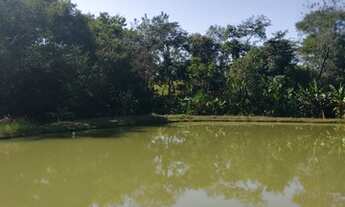 Imagem 3: Guapó - Chácara com muita água