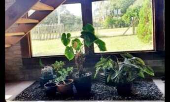 Imagem 4: Sítio condomínio fechado em Águas claras, com casa e piscina, confira!