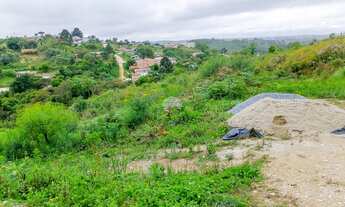 Imagem 3: Terreno em declive, na Colônia Antônio Prado - Almirante Tamandaré, PR