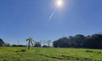 Imagem 3: Sítio 3 hectares em Viamão, 500 metros RS040, para investidor!