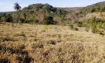 Imagem 3: Terreno 29ha, terra boa e quase todo formado em branquearão, Baldim