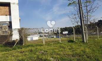 Imagem 5: Terreno Comercial/Industrial na Linha Verde